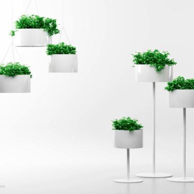GREEN CLOUD