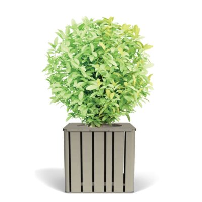 .H24 - Planter
