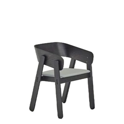 Polo Upholstered Chair