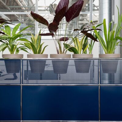 A World of Plants for USM Haller