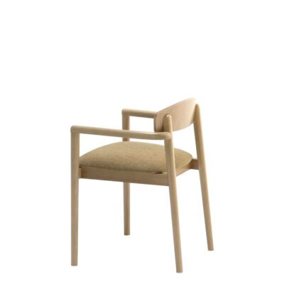 Anes Arm Chair