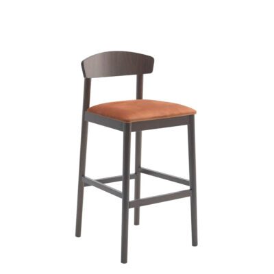 Anes Stool